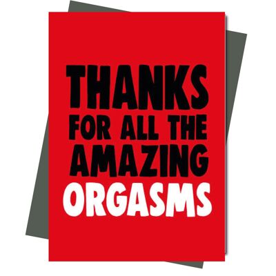 Grazie per tutti gli incredibili orgasmi - Valentine Card - V211