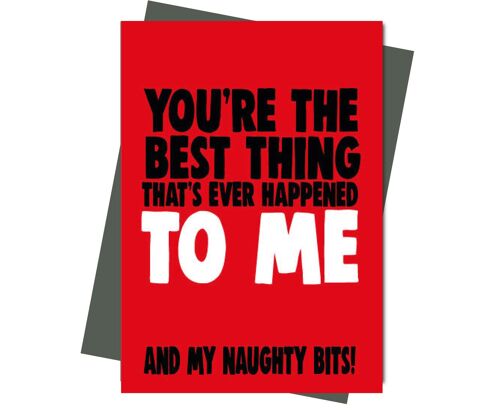 You're the best thing that's ever happened to me... and my naughty bits! - Valentine Card - V202