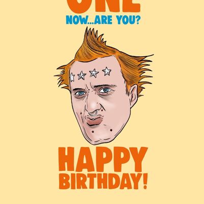 6 x Birthday Cards - The Young Ones - Not such a YOUNG ONE now are you? - IN157