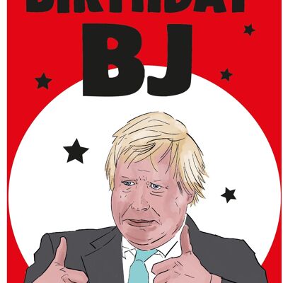 6 x unhöfliche Geburtstagskarten – Boris Johnson – Geburtstag BJ – IN79