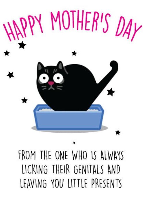 Little presents cat - Mothers Day Card - M9