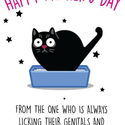 Pequeño regalo gato - Tarjeta Día de la Madre - M9