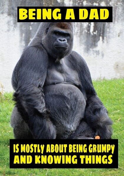 6 x Fathers Day Cards - Being a dad is mostly about being grumpy and knowing things - F15