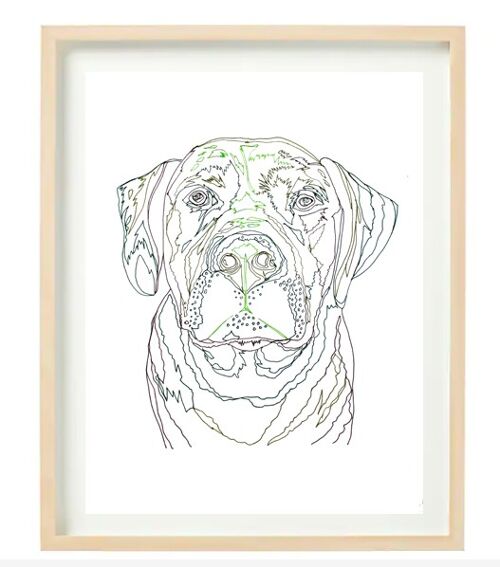 DUDLEY - A3 PRINT IN FRAME