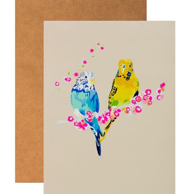 CARTOLINA D'AUGURI DI AMOREVOLE BUDGIES