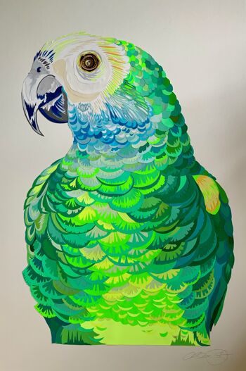 Portrait de perroquet - ORIGINAL 3