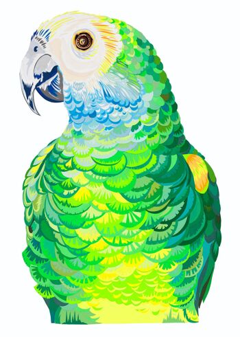 Portrait de perroquet - ORIGINAL 4