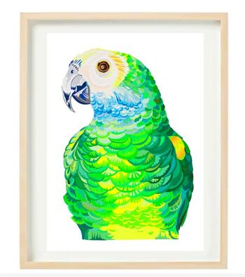 Portrait de perroquet - ORIGINAL 5