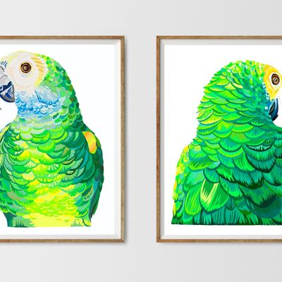 PARROT PORTRAIT SALE 35 % RABATT - B - Papier - A3