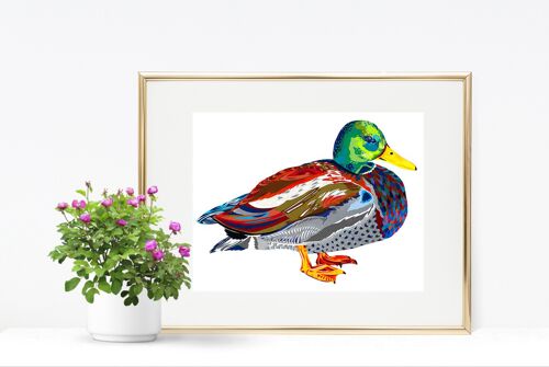 MR MALLARD SALE LIMITED EDITION SIGNED ART PRINT  1 LEFT A2 - A5 PRINT IN A4 FRAME