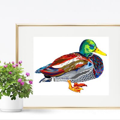 MR MALLARD SALE LIMITED EDITION SIGNED ART PRINT  1 LEFT A2 - A4 PRINT IN A3 FRAME