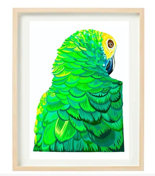 SULTRY PARROT SALE 35% OFF - A3 PRINT IN A2 FRAME
