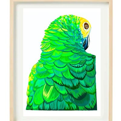 SULTRY PARROT SALE 35% OFF - A3 PRINT IN A2 FRAME