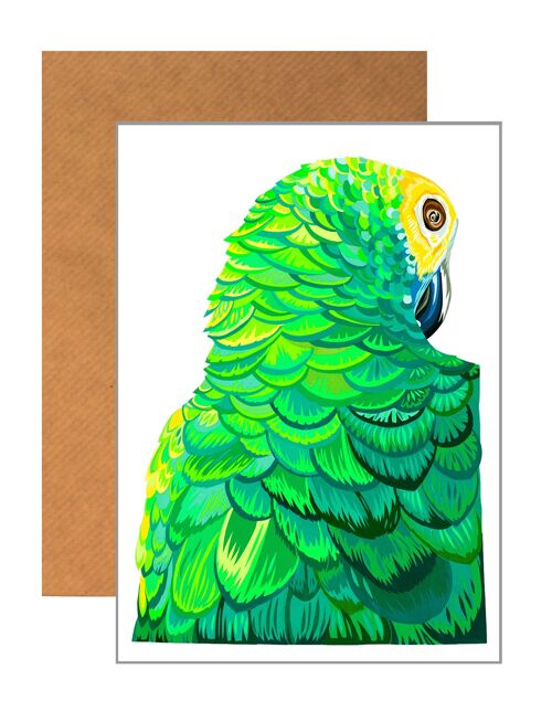 SULTRY PARROT GREETING CARD