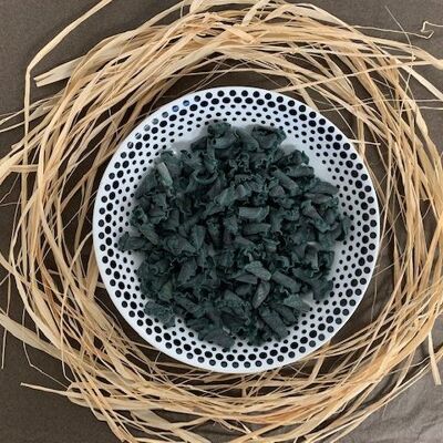 Pâtes hyper-protéinées à la spiruline – FUSILLI