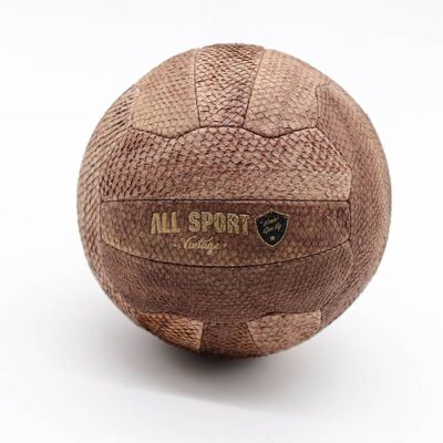 Gasthon Fish Leather Soccer Ball