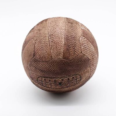 Ballon de Basketball personnalisable en cuir de poisson Gasthon