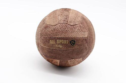 Ballon de Football personnalisable en peau de poisson Gasthon