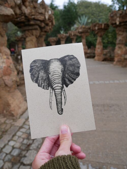 Postkarte Graspapier Zeichnung Tier Elefant