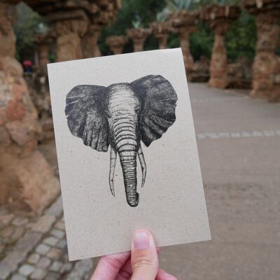 Postkarte Graspapier Zeichnung Tier Elefant