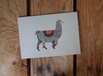 Carte postale dessin animal lama 2