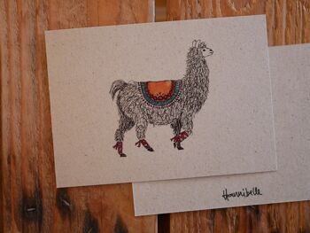 Carte postale dessin animal lama 1