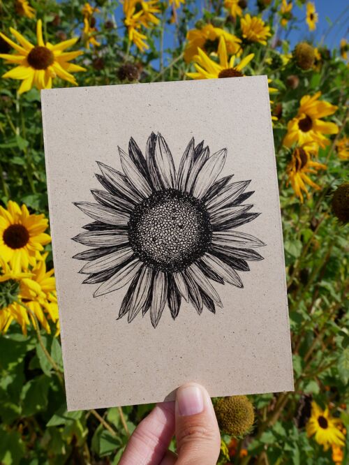 Postkarte Zeichnung Pflanze Sonnenblume