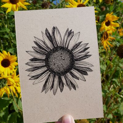 Postkarte Zeichnung Pflanze Sonnenblume