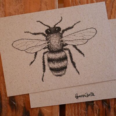 Postkarte Zeichnung Insekt Biene