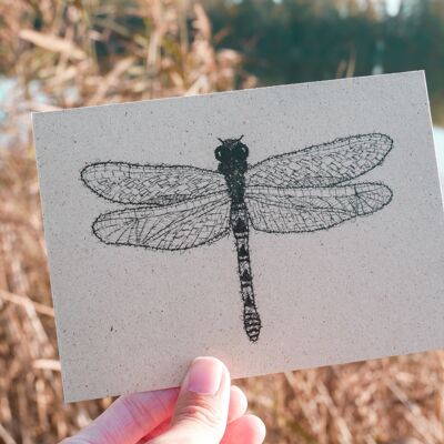 Carte postale dessin insecte libellule