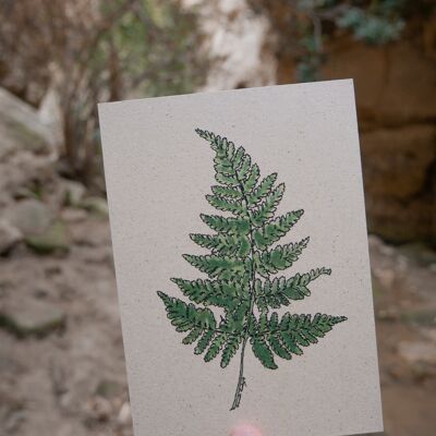 Postcard grass paper green fern