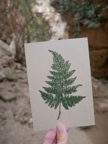 Carte postale herbe papier vert fougère 1