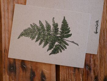 Carte postale herbe papier vert fougère 2