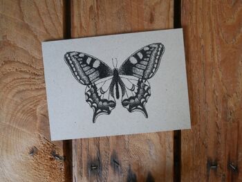 Carte postale papillon 2