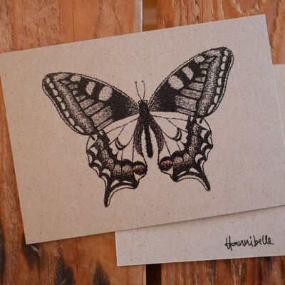 Carte postale papillon