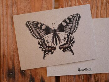 Carte postale papillon 1