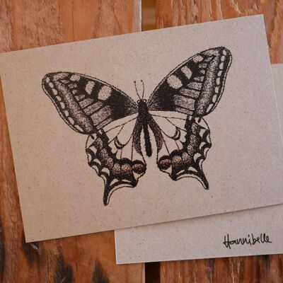 Postkarte Schmetterling