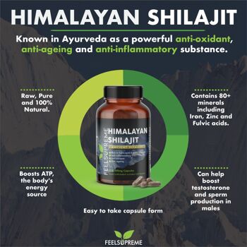 Capsules de Shilajit de l'Himalaya | 80+ oligo-éléments | 60 gélules 2