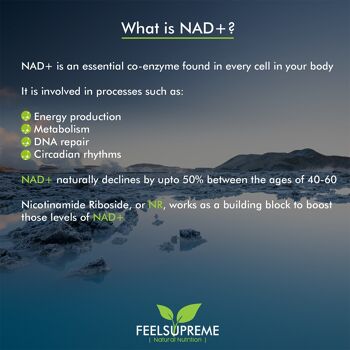 Amplificateur NAD+ | Nicotinamide Riboside avec Astaxanthine | 60 gélules 4