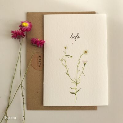 Greeting card - daisies