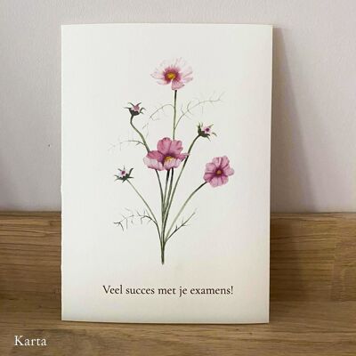 Greeting card - cosmos