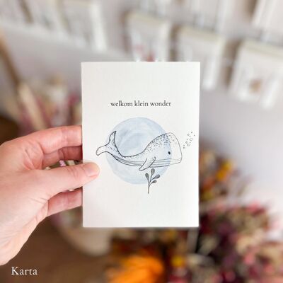 Greeting card - little whale