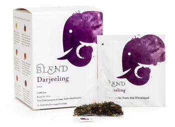 Darjeeling FTGFOP-1 - Coffret 15 Pyramides 1