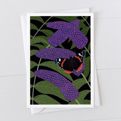 Red Admiral Butterfly Card