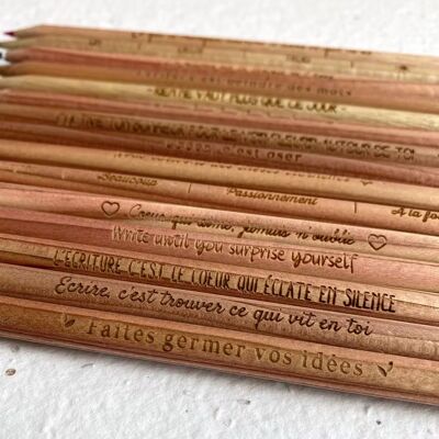 Sprout Plantable Pencils - GRAFITO - Cotizaciones