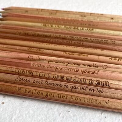 Sprout Plantable Pencils - GRAPHITE - Quotes