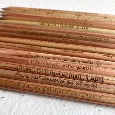 Sprout Plantable Pencils - COLOR/GRAFITO - Citas - Paquete de 25
