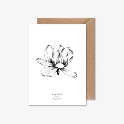 MAGNOLIA