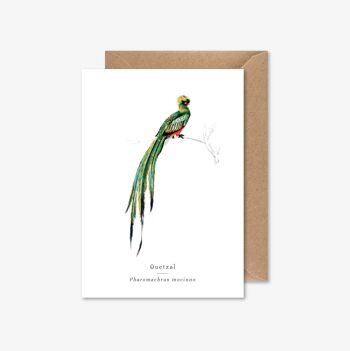 Quetzal