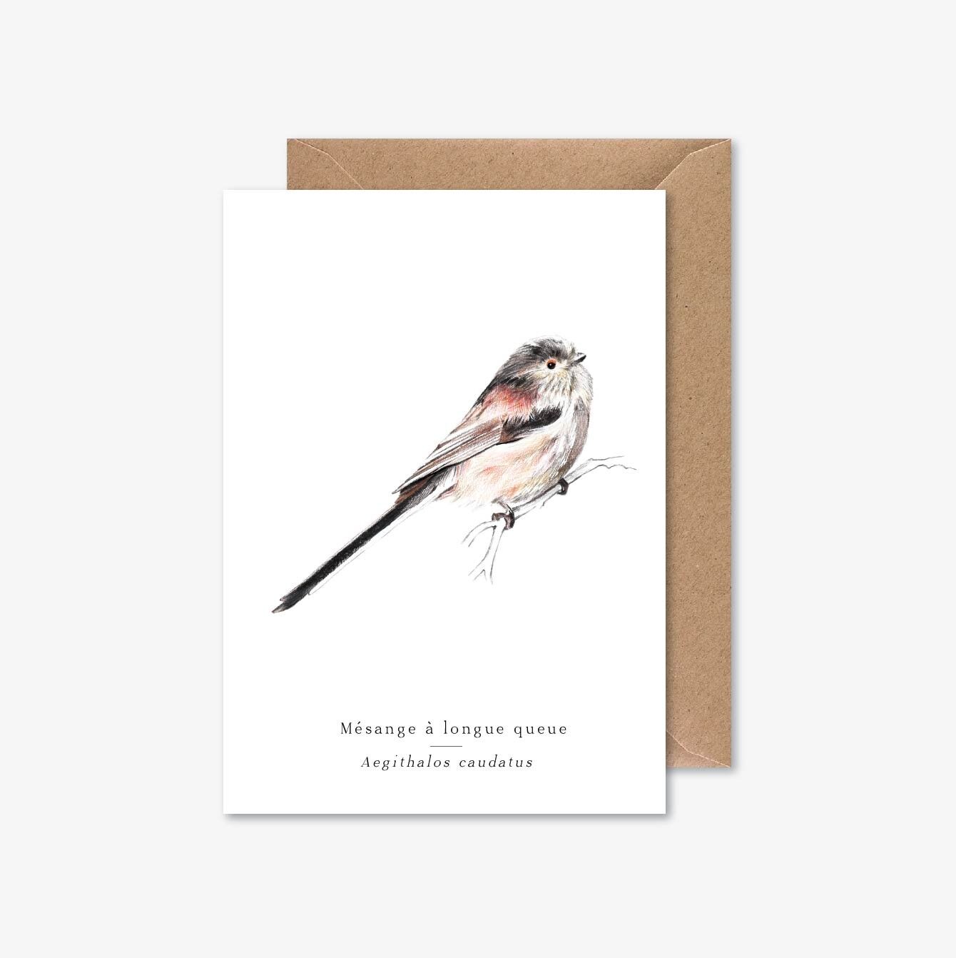 cincia dalla coda lunga